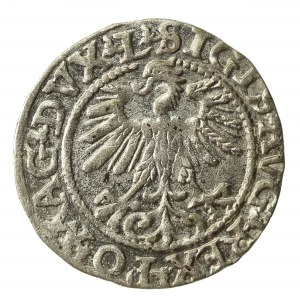 Zygmunt II August, Półgrosz 1560, Wilno - LI/LITV (856)