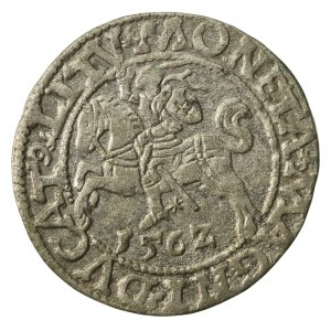 Zygmunt II August, Półgrosz 1562 Wilno, LI/LITV (859)