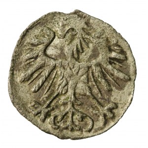Zygmunt II August, Denar 1554, Wilno (873)