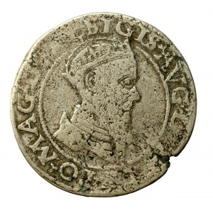 Zygmunt II August, Czworak 1566, Wilno (973)