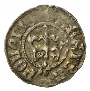 John I Olbracht, Half-penny without date, Cracow (991)