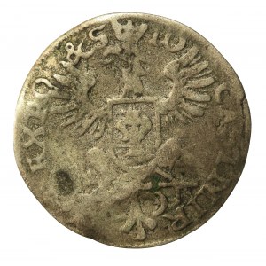 Jan II Kazimierz, Dwugrosz 1650, Wschowa (998)