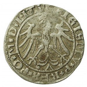 Zygmunt I Stary, Grosz Wilno 1536 - litera A - kwiecień - rzadki (514)