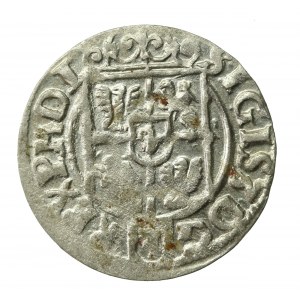 Zygmunt III Waza, Półtorak 1622, Bydgoszcz (518)
