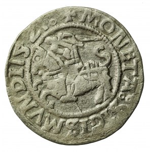 Zygmunt I Stary, Półgrosz 1521, Wilno. Brak przerywnika przed datą. (523)