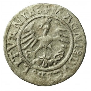 Zygmunt I Stary, Półgrosz 1521, Wilno. Brak przerywnika przed datą. (523)