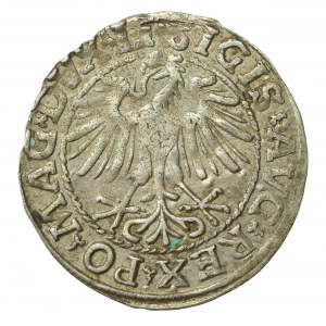 Zygmunt II August, Półgrosz 1548, Wilno - LI/LITVA (524)