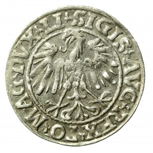 Zygmunt II August, Półgrosz 1547, Wilno - starszy typ Pogoni - LI/LITVA - rzadki (528)