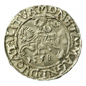 Zygmunt II August, Półgrosz 1558, Wilno - LI/LITVA (531)