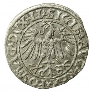 Zygmunt II August, Półgrosz 1547, Wilno - LI/LITVA (536)