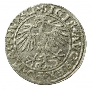 Zygmunt II August, Półgrosz 1550, Wilno, LI/LITVA (538)