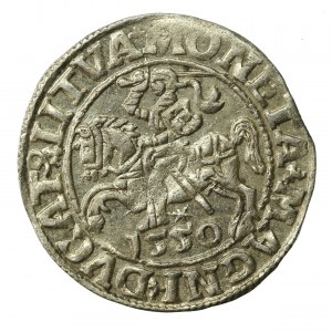 Zygmunt II August, Półgrosz 1550, Wilno, LI/LITVA (540)