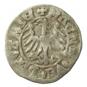 Aleksander Jagiellończyk, Półgrosz Wilno - renesans - IX emisja - ALEXAND - rzadszy (541)