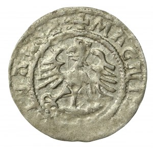 Zygmunt I Stary, Półgrosz 1524, Wilno - odwrócona 4 (542)