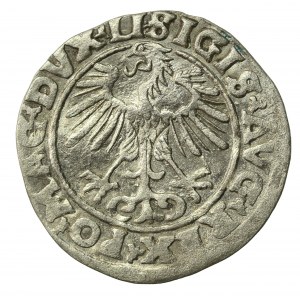 Zygmunt II August, Półgrosz 1553, Wilno - LI/LITVA (545)
