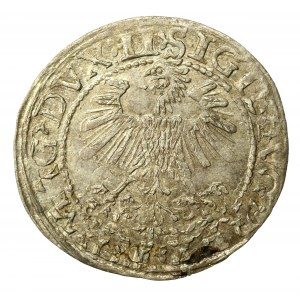 Zygmunt II August, Półgrosz 1560, Wilno - LI/LITV (550)