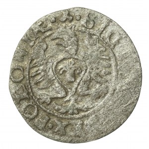 Zygmunt III Waza, Szeląg 1613, Bydgoszcz (551)
