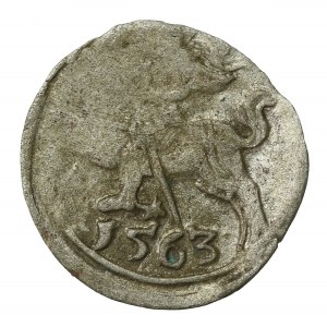 Zygmunt II August, Denar 1563, Wilno - ogon podniesiony - rzadki (555)