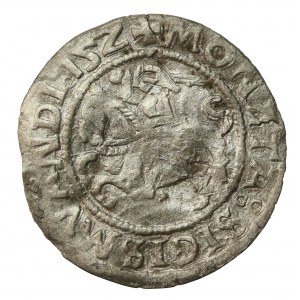 Zygmunt I Stary, Półgrosz litewski 152?, wariant z niepełną datą (563)