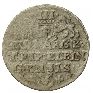 Gustaw II Adolf, Trojak 1631, Elbląg. Napis ELBINGENSIS. Bardzo rzadki(564)