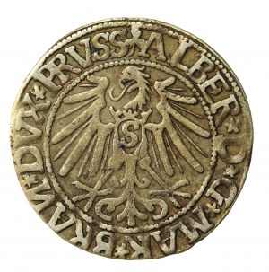 Ducal Prussia, Albrecht Hohenzollern, 1544 penny, Königsberg (1028)