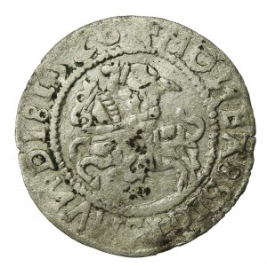 Sigismund I the Old, Half-penny 1528, Vilnius. MONEA. Rare (588)