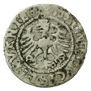 Zygmunt I Stary, Półgrosz 1528, Wilno. MONEA. Rzadkie (588)