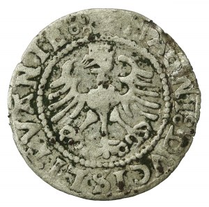 Sigismund I the Old, Half-penny 1528, Vilnius. MONEA. Rare (588)