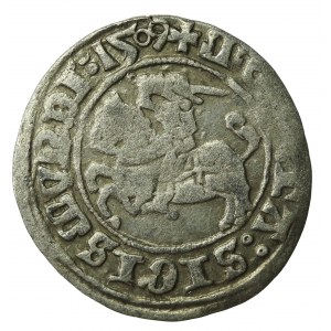 Zygmunt I Stary, półgrosz 1509, Wilno (591)