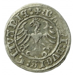 Zygmunt I Stary, półgrosz 1509, Wilno (591)