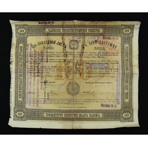 Towarzystwo Kredytowe m. Radomia, List zastawny na 100 rubli, 1900 (1091)