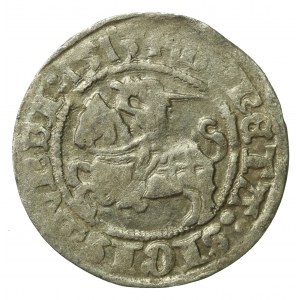 Zygmunt I Stary, Półgrosz 1513, Wilno - pełna data (735)