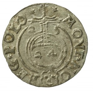 Zygmunt III Waza, Półtorak 1625, Bydgoszcz - Sas w tarczy ozdobnej (743)