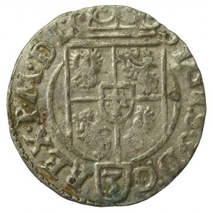 Zygmunt III Waza, Półtorak 1625, Bydgoszcz - Sas w tarczy ozdobnej (743)