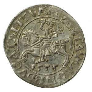 Sigismund II Augustus, Half-penny 1555 Vilnius, LI/LITVA. Very nice (745)