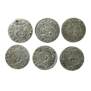 Zygmunt III Waza, zestaw Półtoraków 1625, Bydgoszcz. Różne odmiany (912)