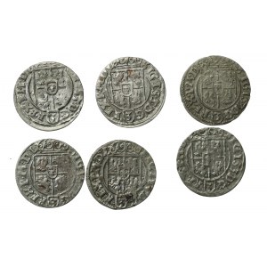 Zygmunt III Waza, zestaw Półtoraków 1625, Bydgoszcz. Różne odmiany (912)