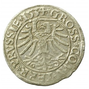 Sigismund I the Old, Penny 1534, Torun - crowned (982)