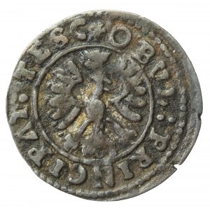 Śląsk, Księstwo Cieszyńskie, Ferdynand IV, Obol 1654, Cieszyn. Pełna data (999)