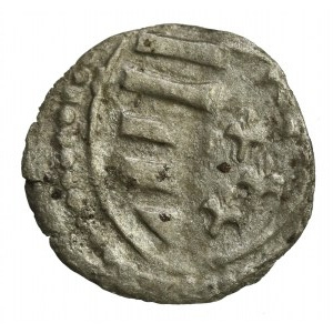 Jadwiga and Władysław Jagiełło 1386-1399, denarius, Wschowa (1004)