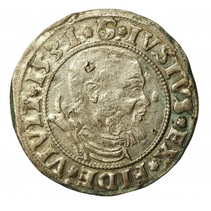 Prusy Książęce, Albrecht Hohenzollern, Grosz 1531, Królewiec (446)