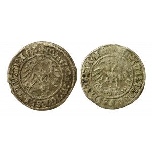 Zygmunt I Stary, zestaw półgroszy. Razem 2 sztuki (318)