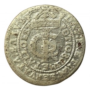 Jan II Kazimierz, tymf 1665 AT, Bydgoszcz (755)