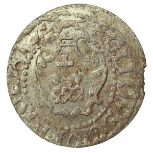 Sigismund III. Vasa, Schellfisch 1617, Riga (893)