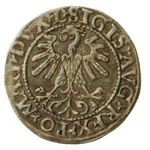 Zygmunt II August, Półgrosz 1560, Wilno - LI/LITV (614)