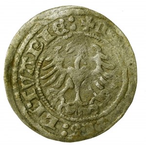 Sigismund I the Old, Half-penny 1518, Vilnius (629)