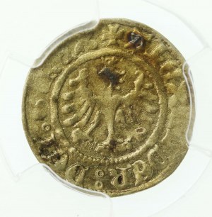 Alexander Jagiellon, crown half-penny, Cracow (658)