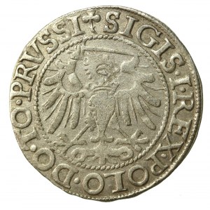 Sigismund I the Old, 1540 penny, Elblag (702)