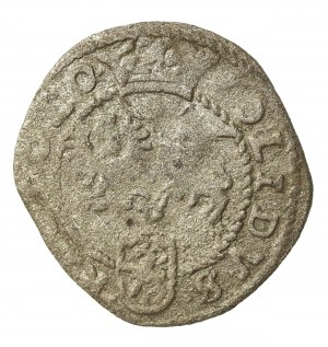 Sigismund III Vasa, Shelly 1599, Wschowa(?) (746)