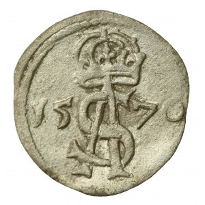 Zygmunt II August, Dwudenar 1570, Wilno (754)